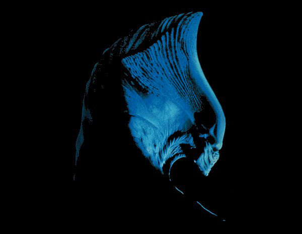 independence-day-(original-soundtrack-recording)