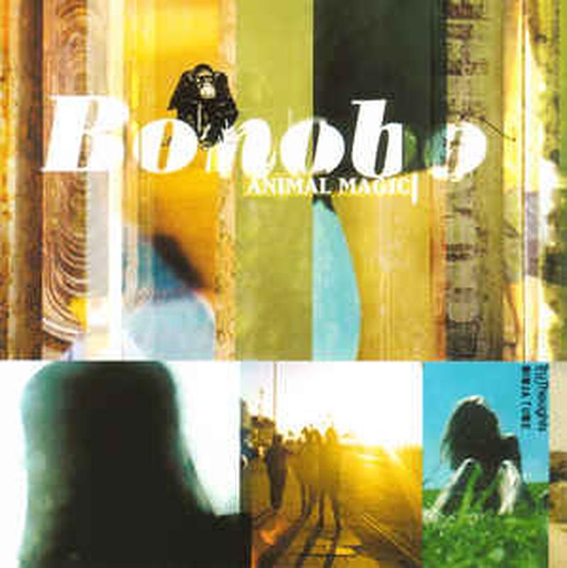 animal-magic