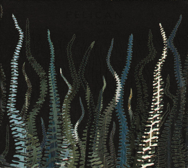 city-of-echoes