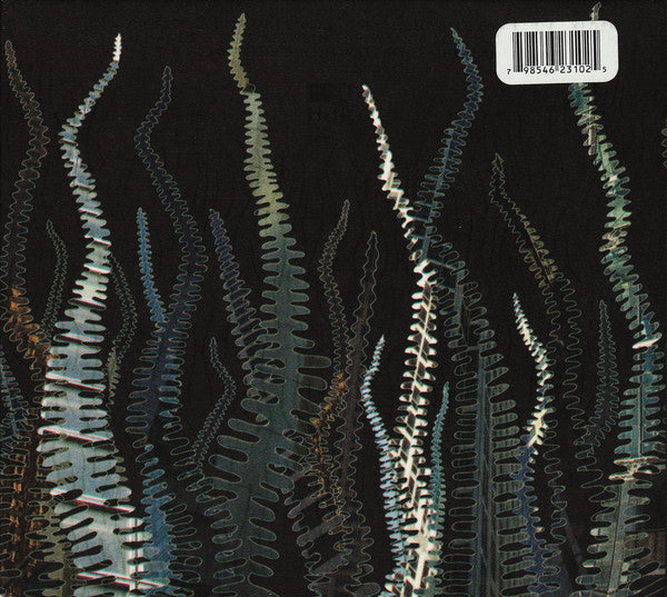 city-of-echoes