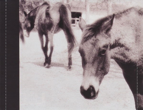 icky-thump