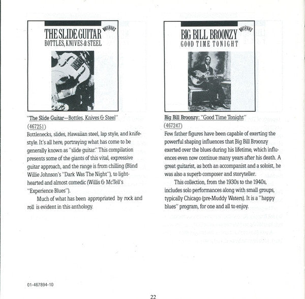 great-blues-guitarists:-string-dazzlers