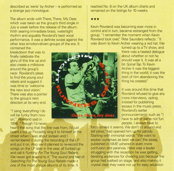 searching-for-the-young-soul-rebels