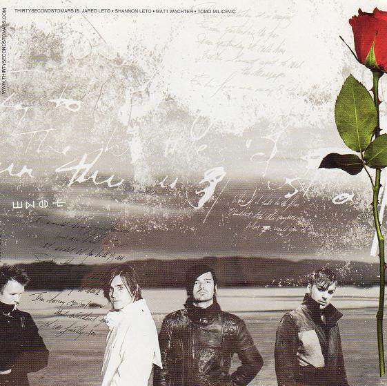 a-beautiful-lie
