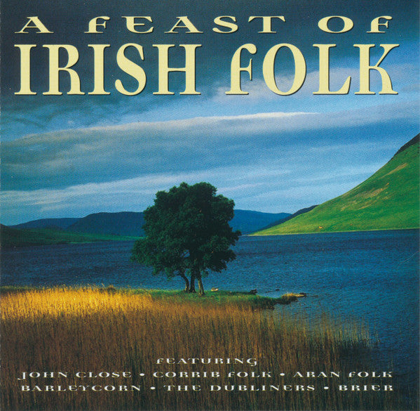 a-feast-of-irish-folk