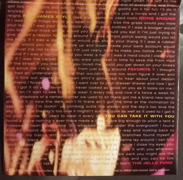 come-on-feel-the-lemonheads