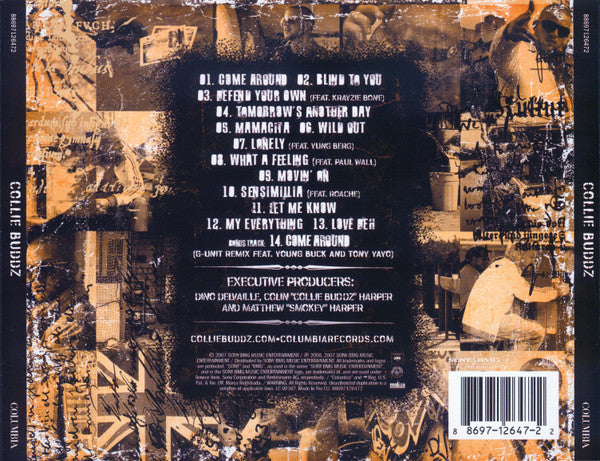 collie-buddz