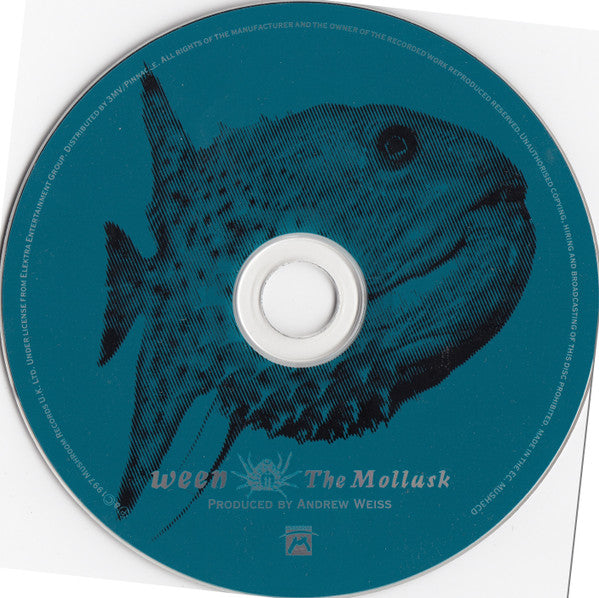 the-mollusk