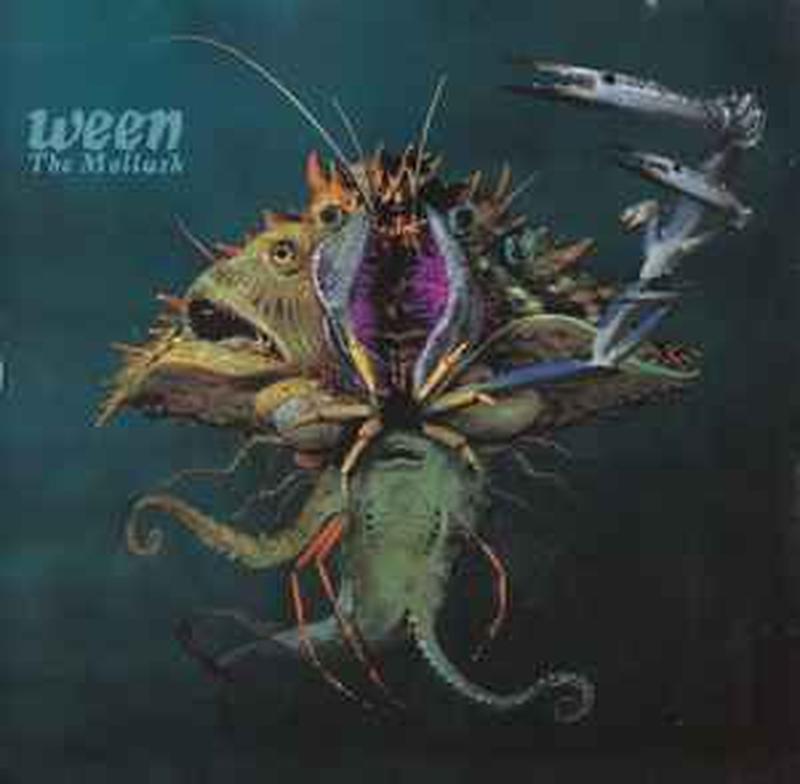 the-mollusk