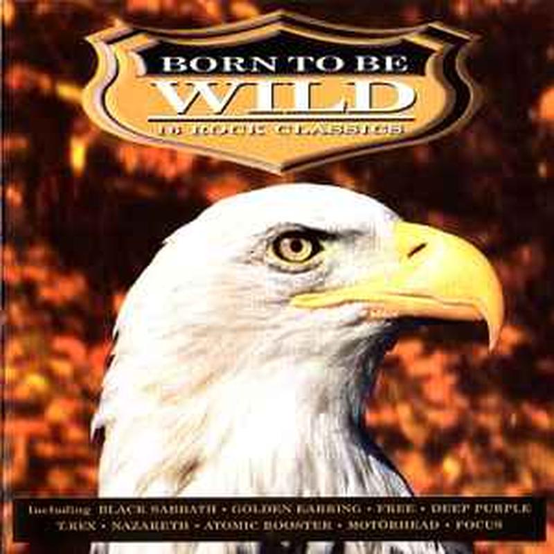 born-to-be-wild---16-rock-classics