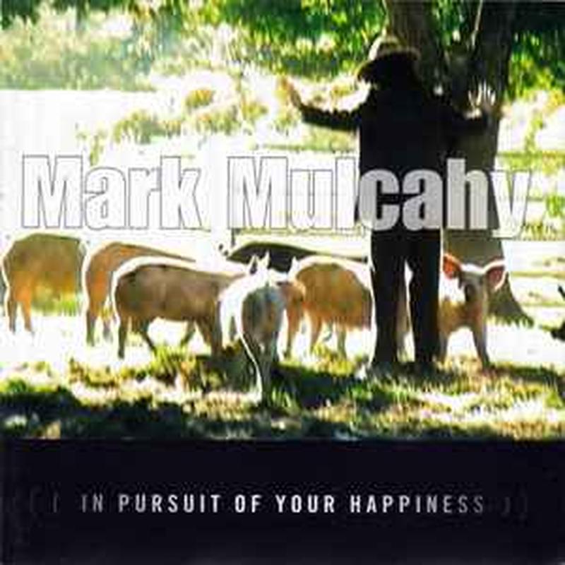 in-pursuit-of-your-happiness