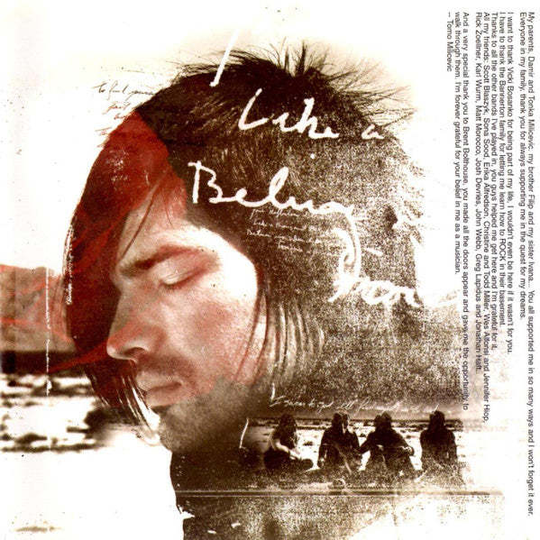 a-beautiful-lie