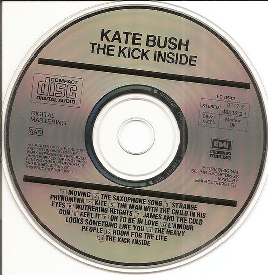 the-kick-inside