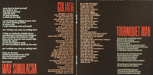 the-bedlam-in-goliath