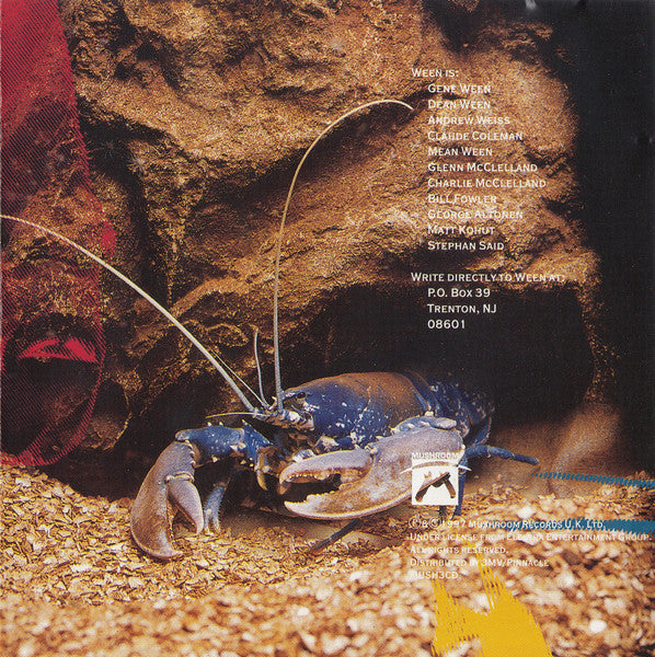 the-mollusk