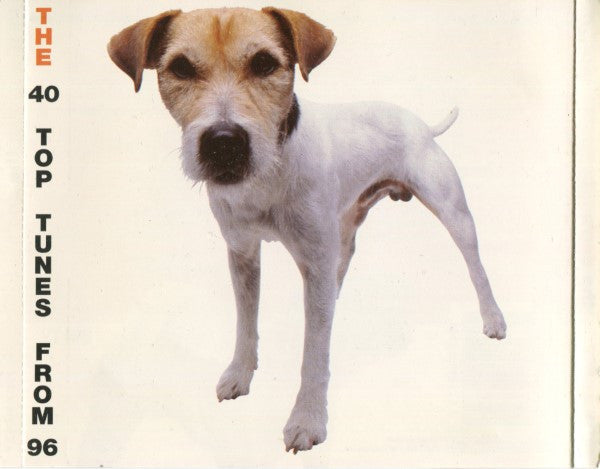 the-dogs....!