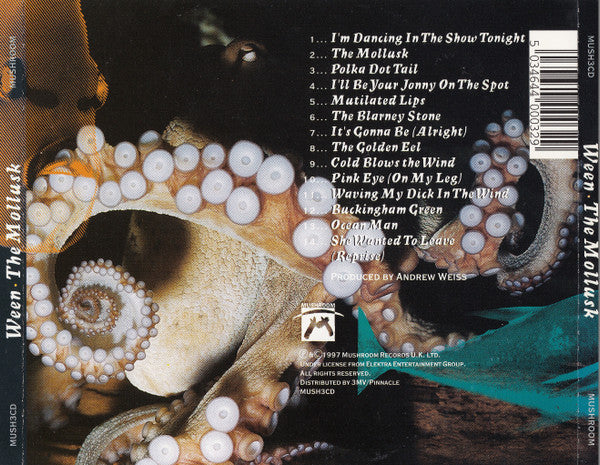 the-mollusk