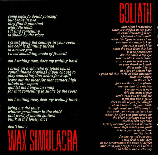 the-bedlam-in-goliath