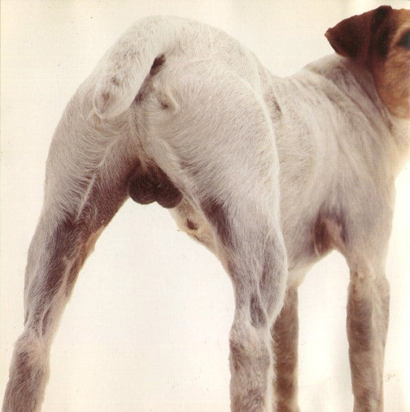 the-dogs....!
