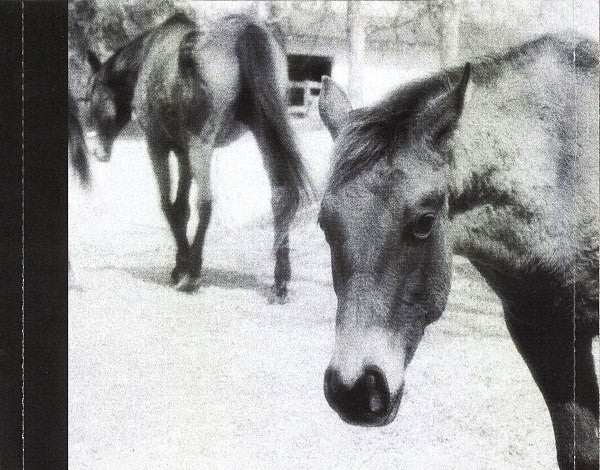 icky-thump