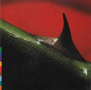 night-song