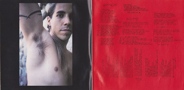 blood-sugar-sex-magik