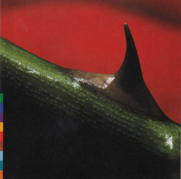 night-song