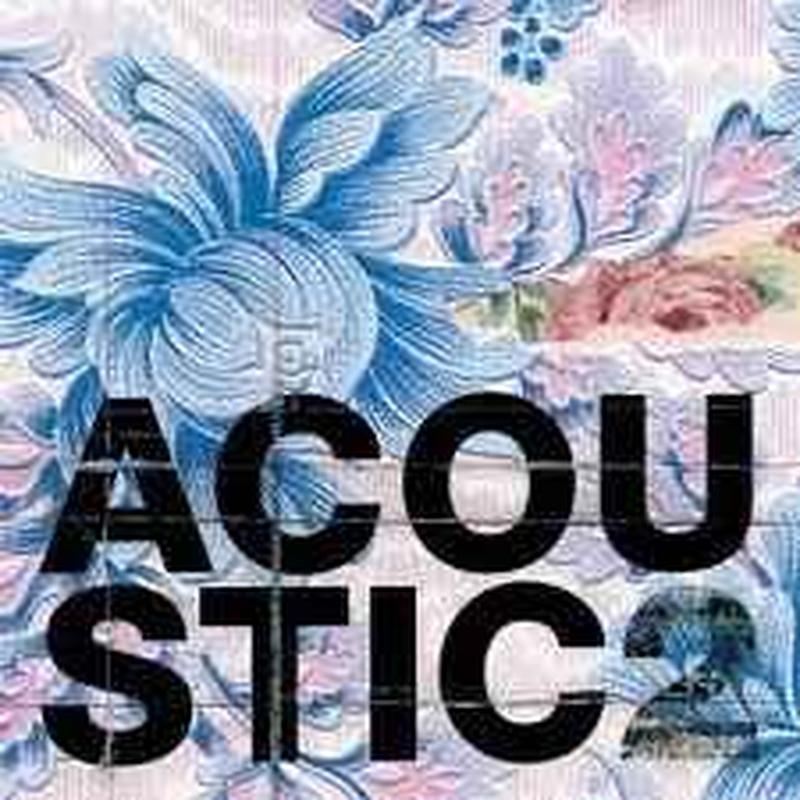 acoustic-2