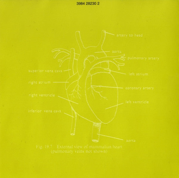 orbital