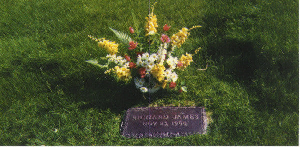 richard-d.-james-album
