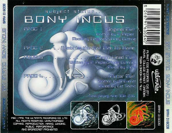 bony-incus