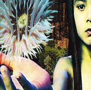 lifeforms