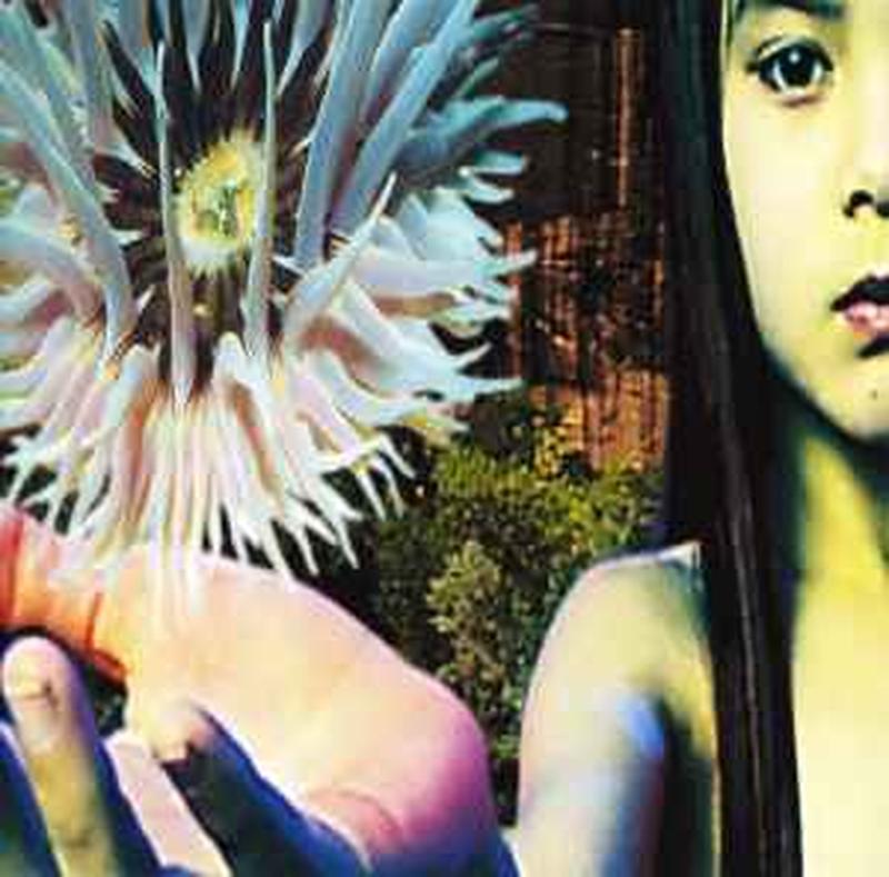 lifeforms