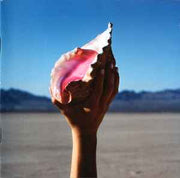 wonderful-wonderful